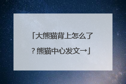 大熊猫背上怎么了？熊猫中心发文→