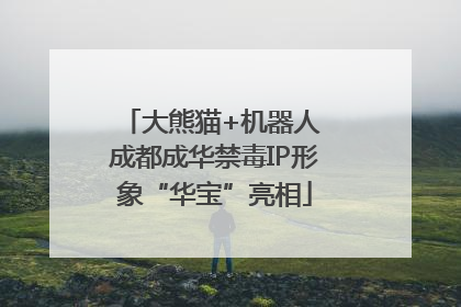 大熊猫+机器人 成都成华禁毒IP形象“华宝”亮相