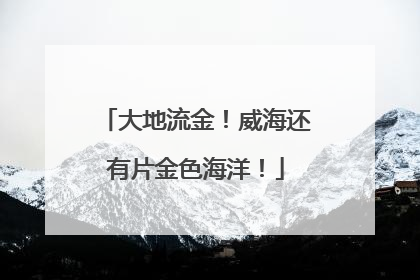 大地流金！威海还有片金色海洋！