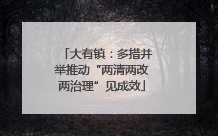 大有镇：多措并举推动“两清两改两治理”见成效
