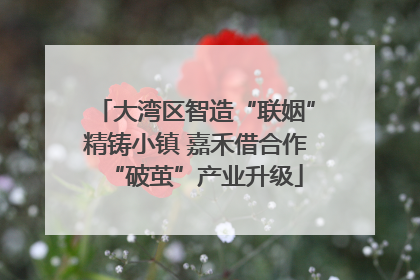大湾区智造“联姻”精铸小镇 嘉禾借合作“破茧”产业升级