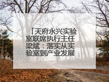 天府永兴实验室联席执行主任梁斌：落实从实验室到产业发展的最后一公里