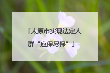 太原市实现法定人群“应保尽保”