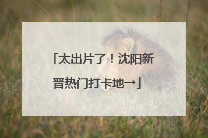 太出片了！沈阳新晋热门打卡地→