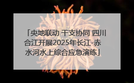 央地联动 干支协同 四川合江开展2025年长江-赤水河水上综合应急演练