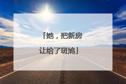她，把新房让给了斑鸠