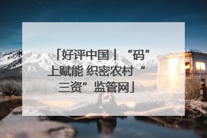 好评中国丨“码”上赋能 织密农村“三资”监管网