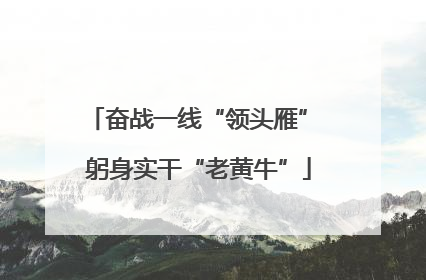 奋战一线“领头雁” 躬身实干“老黄牛”