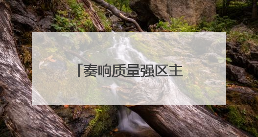 奏响质量强区主旋律 铸就区域高质量发展新优势