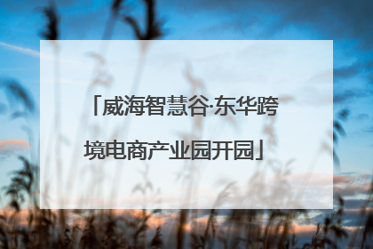 威海智慧谷·东华跨境电商产业园开园