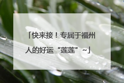 快来接！专属于福州人的好运“莲莲”~