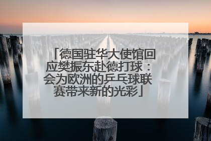 德国驻华大使馆回应樊振东赴德打球：会为欧洲的乒乓球联赛带来新的光彩