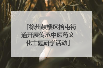 徐州鼓楼区拾屯街道开展传承中医药文化主题研学活动
