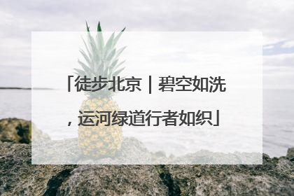 徒步北京｜碧空如洗，运河绿道行者如织