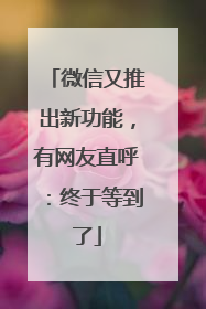 微信又推出新功能，有网友直呼：终于等到了