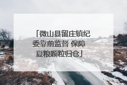微山县留庄镇纪委靠前监督 保障夏粮颗粒归仓