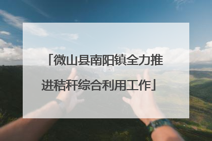 微山县南阳镇全力推进秸秆综合利用工作