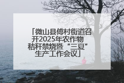 微山县傅村街道召开2025年农作物秸秆禁烧暨“三夏”生产工作会议