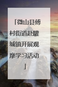 微山县傅村街道赴驩城镇开展观摩学习活动