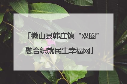 微山县韩庄镇“双圈”融合织就民生幸福网