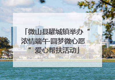 微山县驩城镇举办“浓情端午·圆梦微心愿”爱心帮扶活动