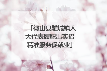 微山县驩城镇人大代表履职出实招精准服务促就业