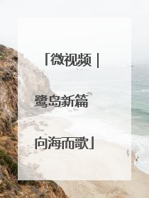 微视频｜鹭岛新篇 向海而歌