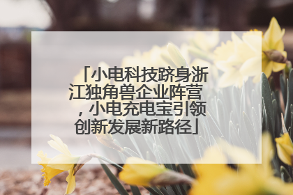 小电科技跻身浙江独角兽企业阵营，小电充电宝引领创新发展新路径