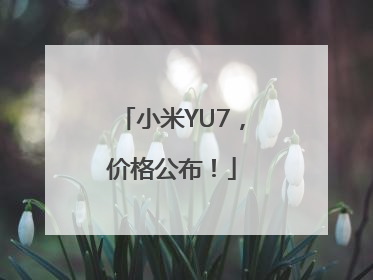 小米YU7，价格公布！
