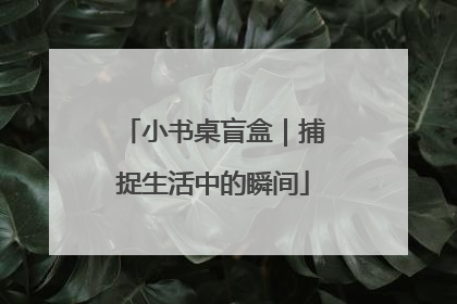 小书桌盲盒｜捕捉生活中的瞬间