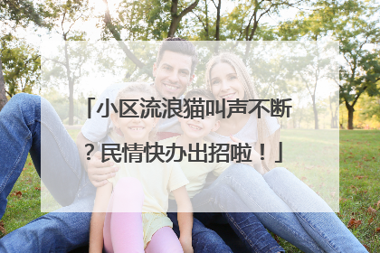 小区流浪猫叫声不断？民情快办出招啦！