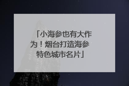 小海参也有大作为！烟台打造海参特色城市名片