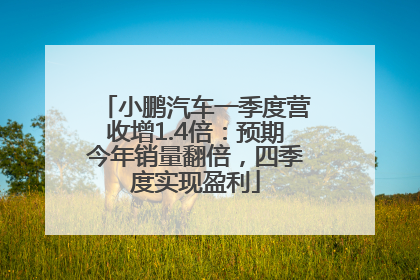 小鹏汽车一季度营收增1.4倍：预期今年销量翻倍，四季度实现盈利