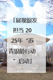 展现银发担当 2025年“苏青银龄行动”启动