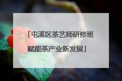 屯溪区茶艺师研修班赋能茶产业新发展