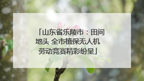 山东省乐陵市：田间地头 全市植保无人机劳动竞赛精彩纷呈
