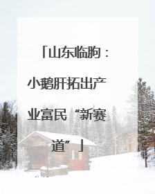 山东临朐：小鹅肝拓出产业富民“新赛道”
