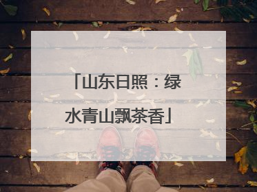 山东日照：绿水青山飘茶香