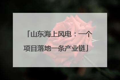 山东海上风电：一个项目落地一条产业链