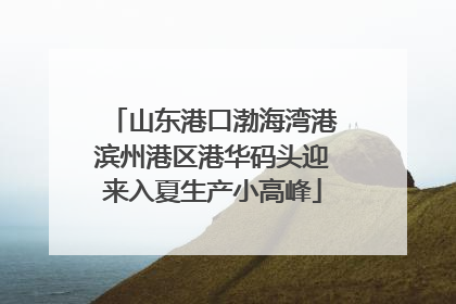 山东港口渤海湾港滨州港区港华码头迎来入夏生产小高峰