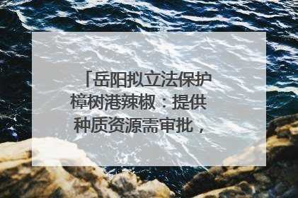 岳阳拟立法保护樟树港辣椒：提供种质资源需审批，违规最高罚5万