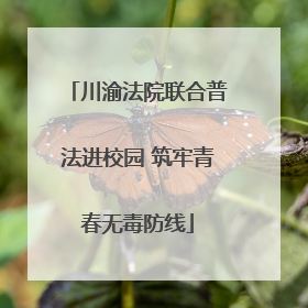 川渝法院联合普法进校园 筑牢青春无毒防线