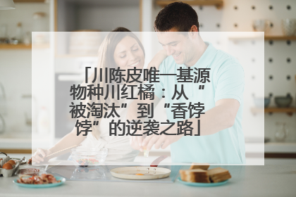 川陈皮唯一基源物种川红橘：从“被淘汰”到“香饽饽”的逆袭之路