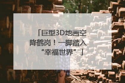 巨型3D地画空降鹤岗！一脚踏入“幸福世界”