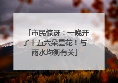 市民惊讶：一晚开了十五六朵昙花！与雨水均衡有关