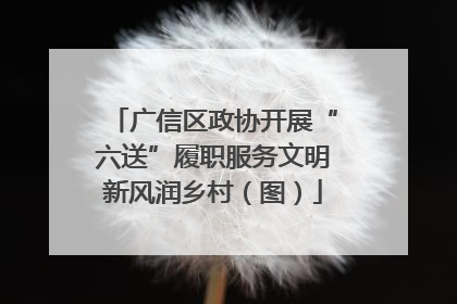广信区政协开展“六送”履职服务文明新风润乡村（图）