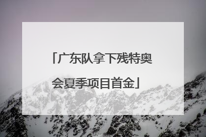 广东队拿下残特奥会夏季项目首金