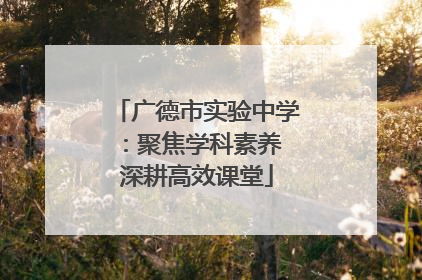 广德市实验中学：聚焦学科素养 深耕高效课堂