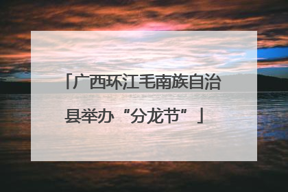 广西环江毛南族自治县举办“分龙节”