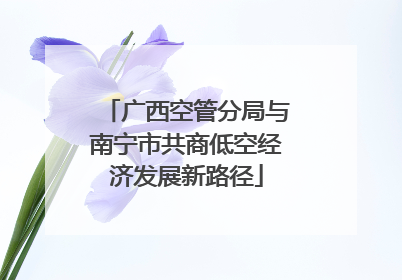 广西空管分局与南宁市共商低空经济发展新路径